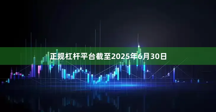 正规杠杆平台截至2025年6月30日